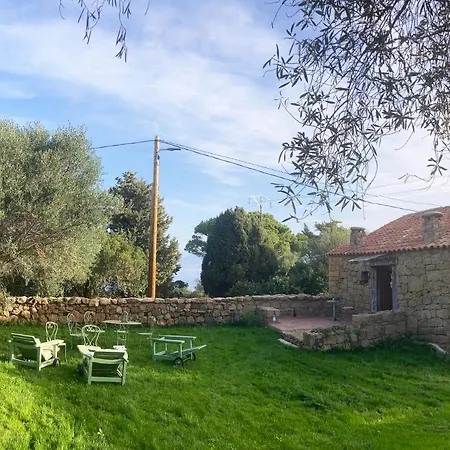 Domaine De La Coletta Maison Traditionnelle Semesterbostad