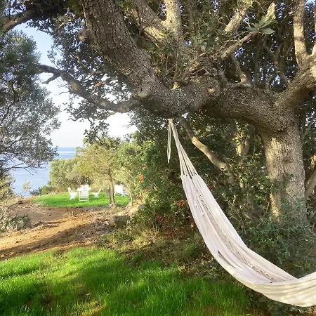 Domaine De La Coletta Maison Traditionnelle Coti-Chiavari (Corsica)